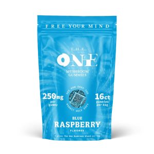 THE ONE: 16-Count 250mg Microdose Gummies with Mushroom Extract – Blue Raspberry